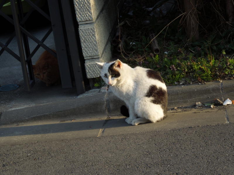 f:id:miyuki1967:20140319064322j:image:w400