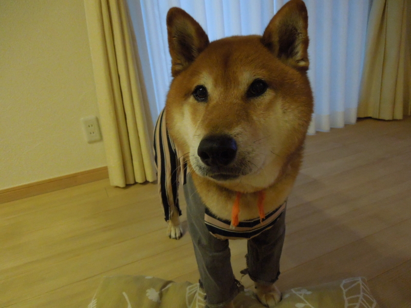 f:id:miyuki1967:20140320074518j:image:w400