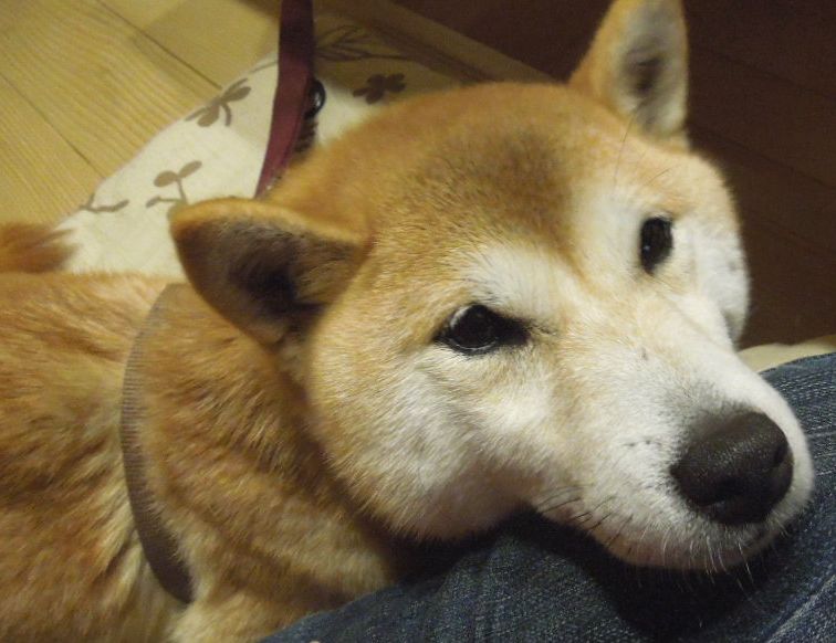 f:id:miyuki1967:20140322153416j:image:w400