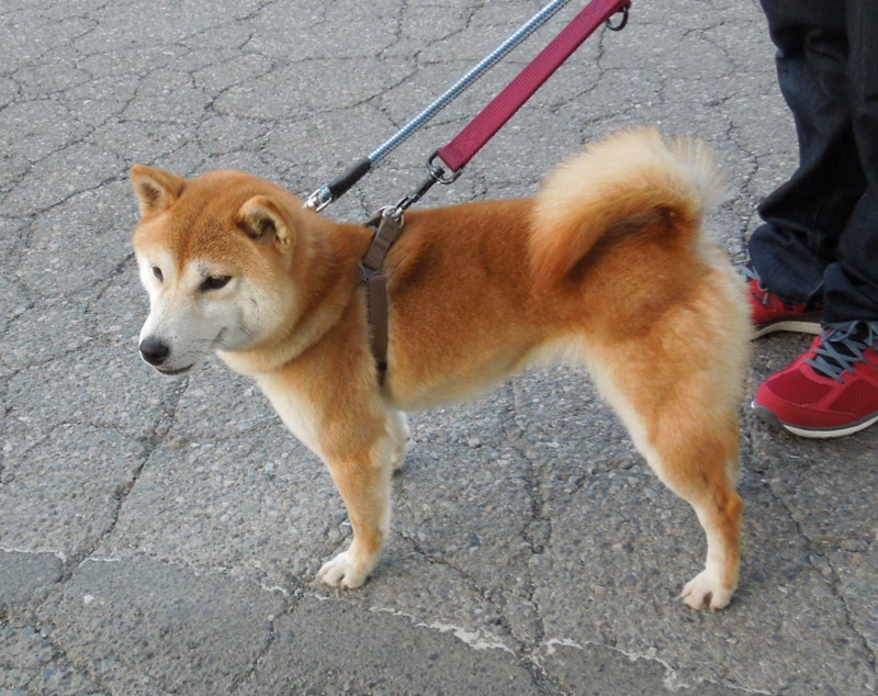 f:id:miyuki1967:20140322153554j:image:w400