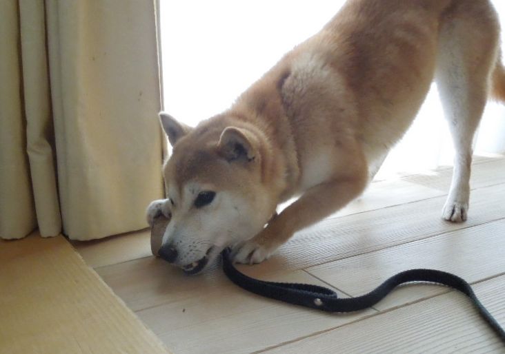 f:id:miyuki1967:20140322153556j:image:w400