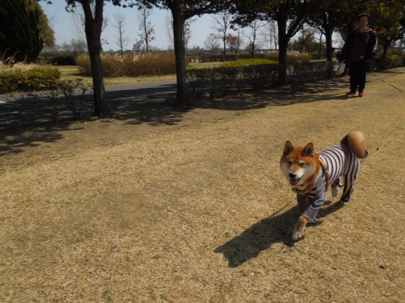 f:id:miyuki1967:20140323124853j:image:w400