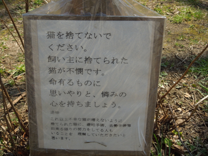 f:id:miyuki1967:20140323125849j:image:w400