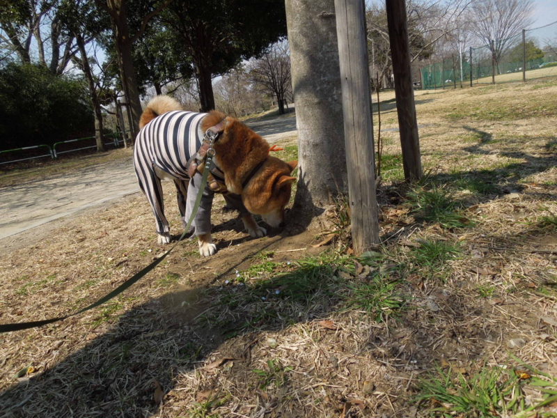 f:id:miyuki1967:20140323130026j:image:w400