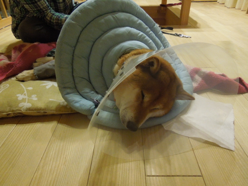 f:id:miyuki1967:20140323223624j:image