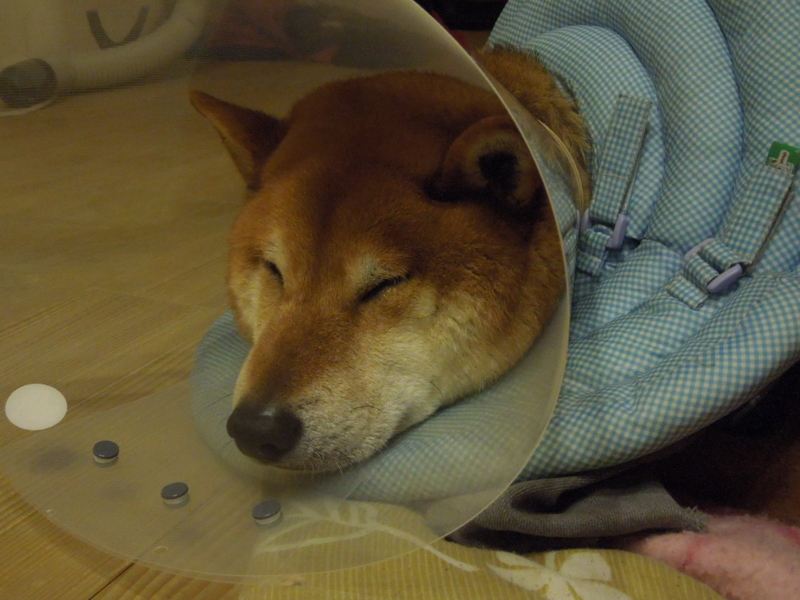 f:id:miyuki1967:20140324002033j:image