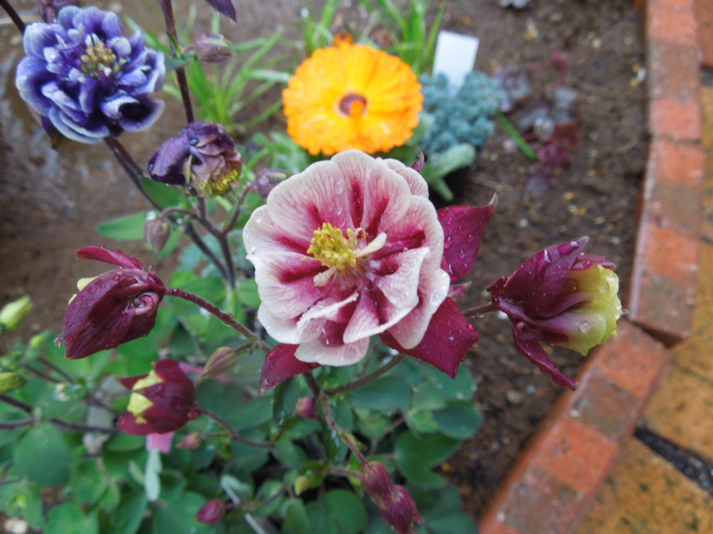 f:id:miyuki1967:20140324081651j:image:w400