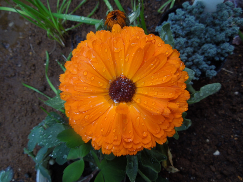 f:id:miyuki1967:20140324081705j:image:w400