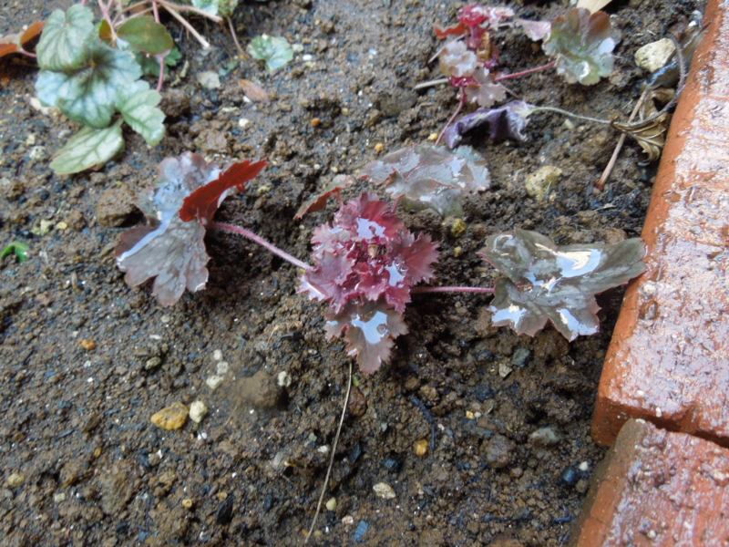 f:id:miyuki1967:20140324081732j:image:w400