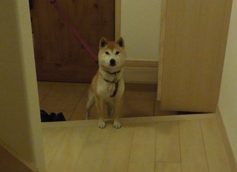 f:id:miyuki1967:20140325114715j:image:w400