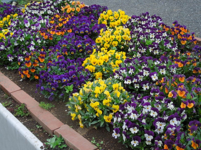 f:id:miyuki1967:20140327065952j:image:w400