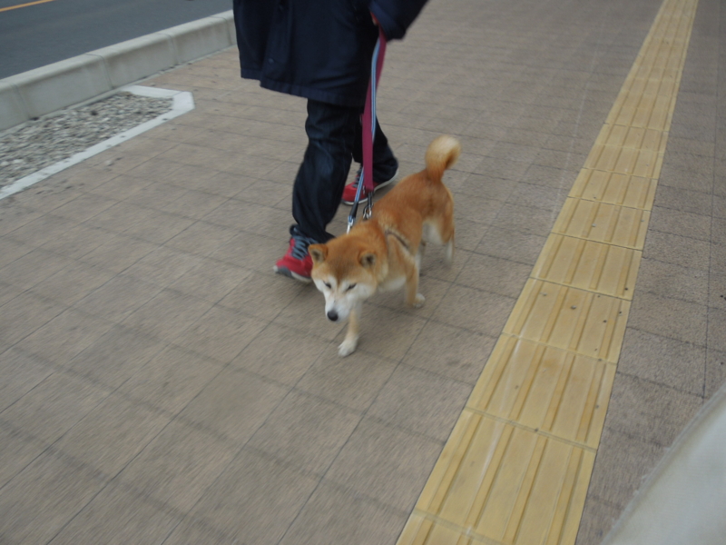 f:id:miyuki1967:20140327070120j:image:w400