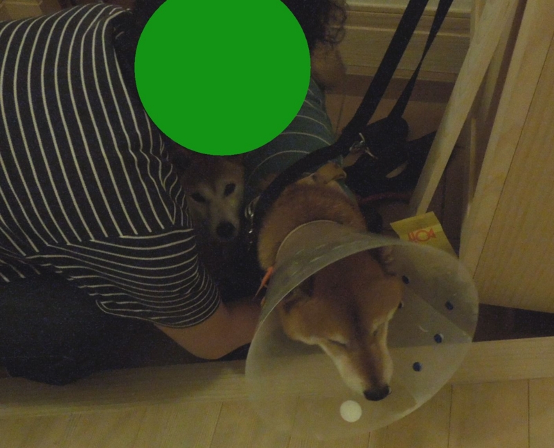 f:id:miyuki1967:20140327113238j:image:w400