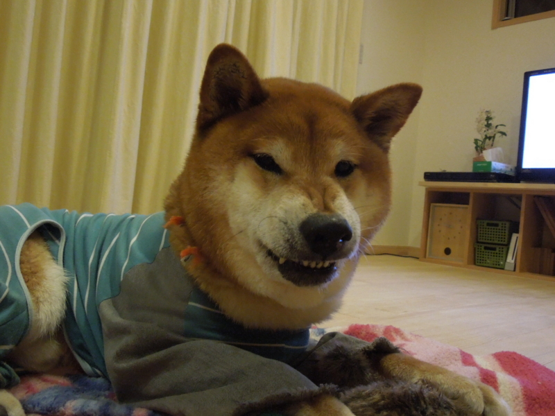 f:id:miyuki1967:20140328215106j:image:w400