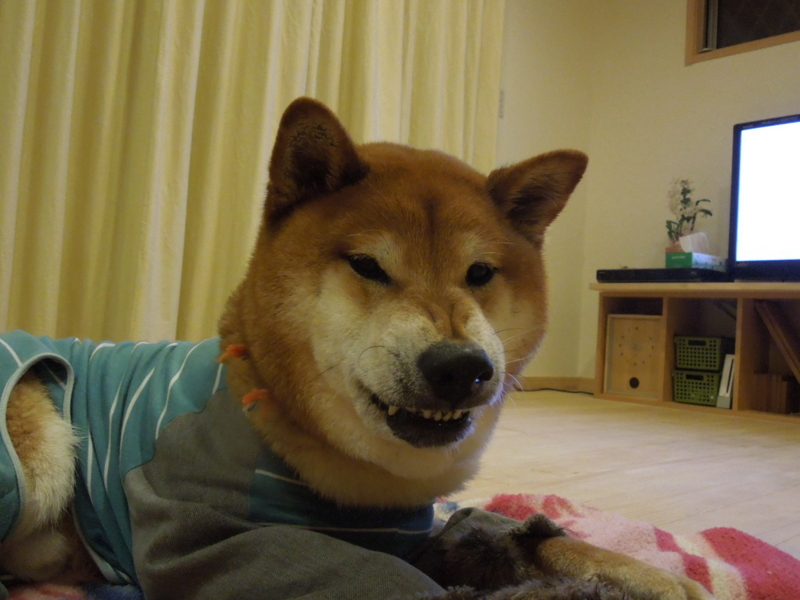 f:id:miyuki1967:20140328215108j:image:w400