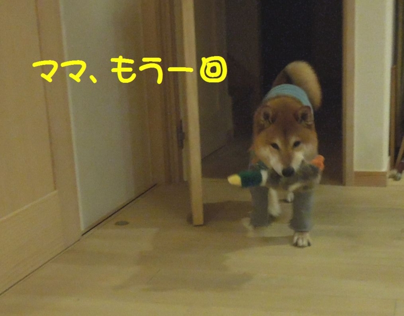 f:id:miyuki1967:20140329094901j:image:w400