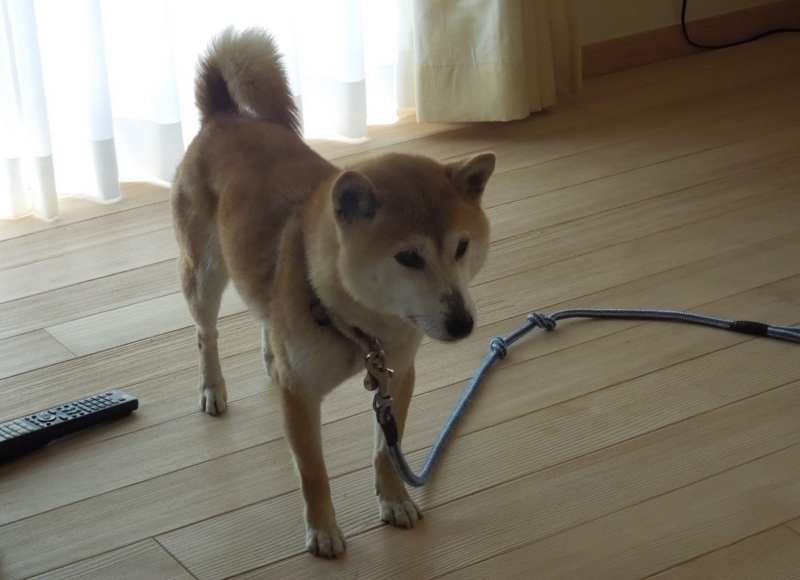 f:id:miyuki1967:20140419203256j:image:w400