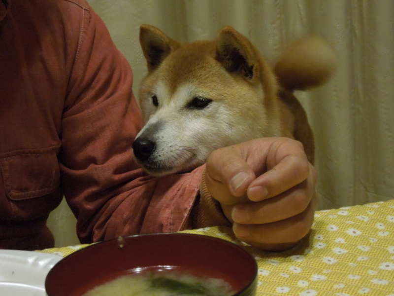 f:id:miyuki1967:20140420221149j:image:w400 f:id:miyuki1967:20140420221149j:image:w400
