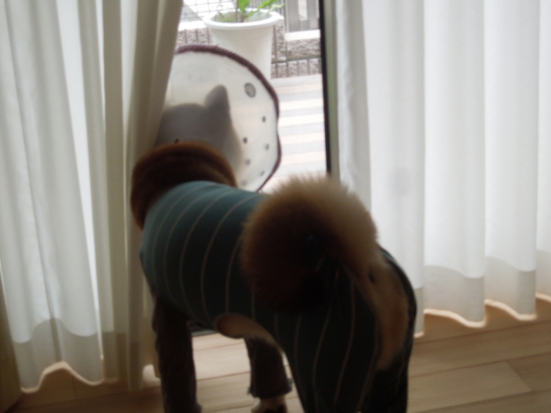 f:id:miyuki1967:20140509110247j:image:w450
