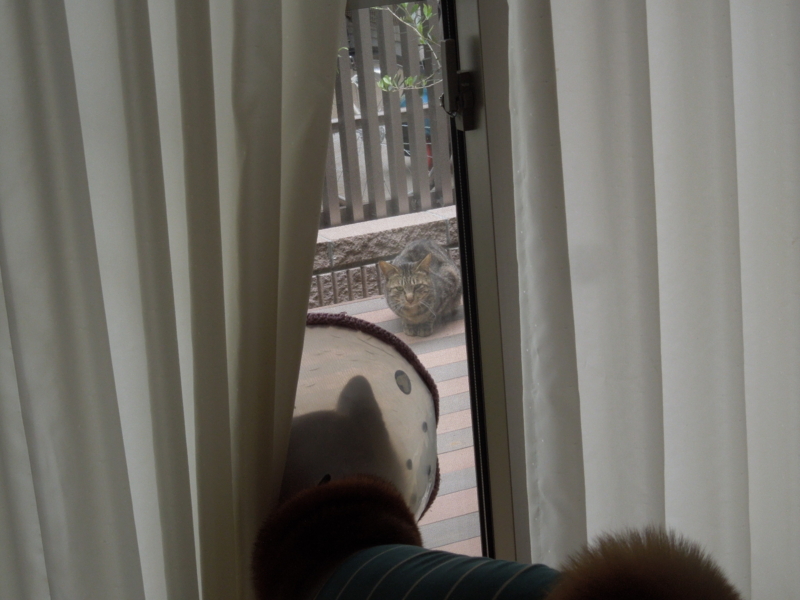 f:id:miyuki1967:20140509110542j:image:w450