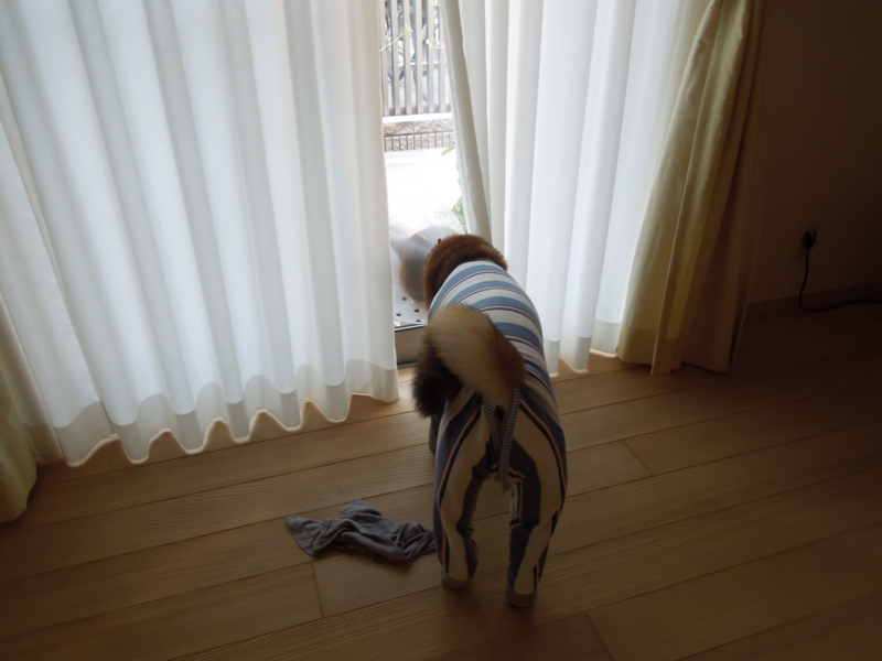 f:id:miyuki1967:20140509111038j:image:w450