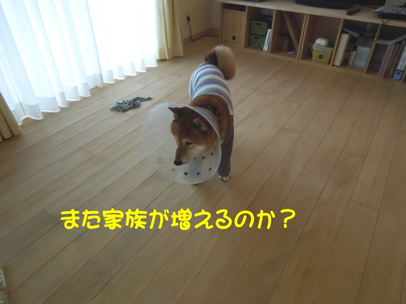 f:id:miyuki1967:20140509111244j:image:w450