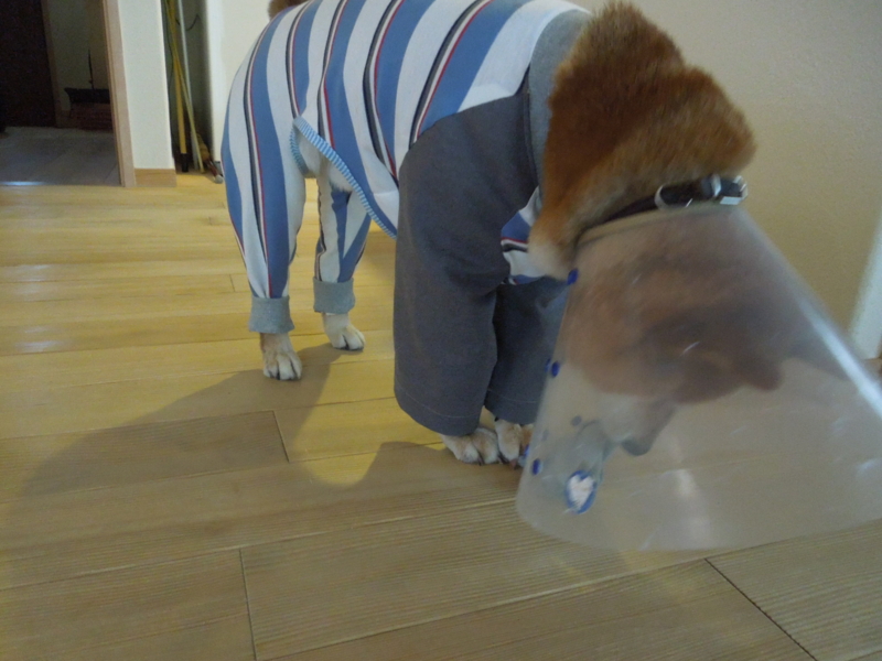 f:id:miyuki1967:20140509113821j:image:w450