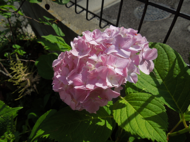 f:id:miyuki1967:20140602092033j:image:w450