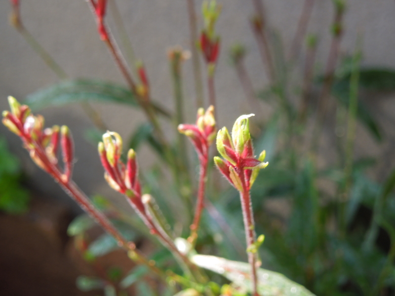 f:id:miyuki1967:20140602092408j:image:w450