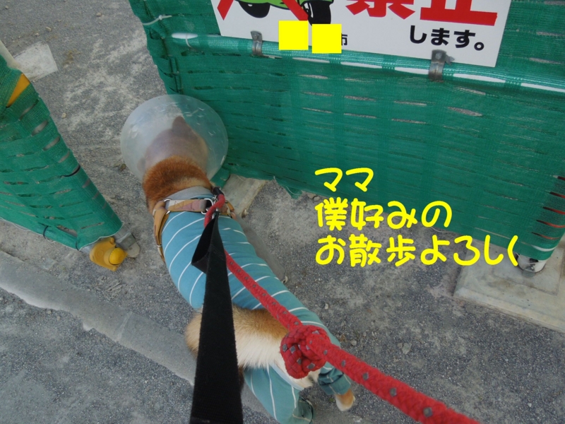 f:id:miyuki1967:20140602093525j:image:w450