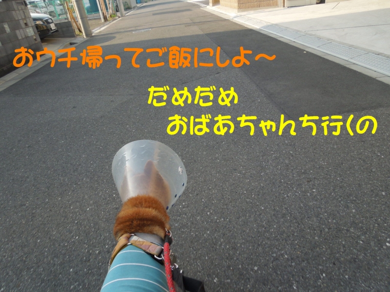 f:id:miyuki1967:20140602093823j:image:w450