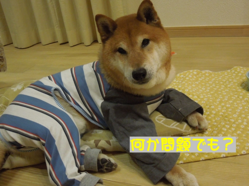 f:id:miyuki1967:20140606115959j:image:w450