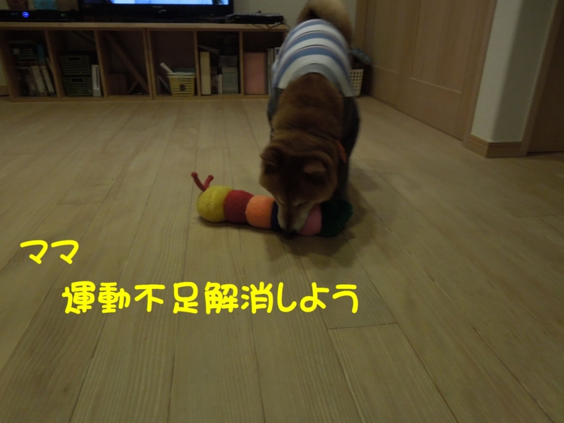 f:id:miyuki1967:20140606120215j:image:w450