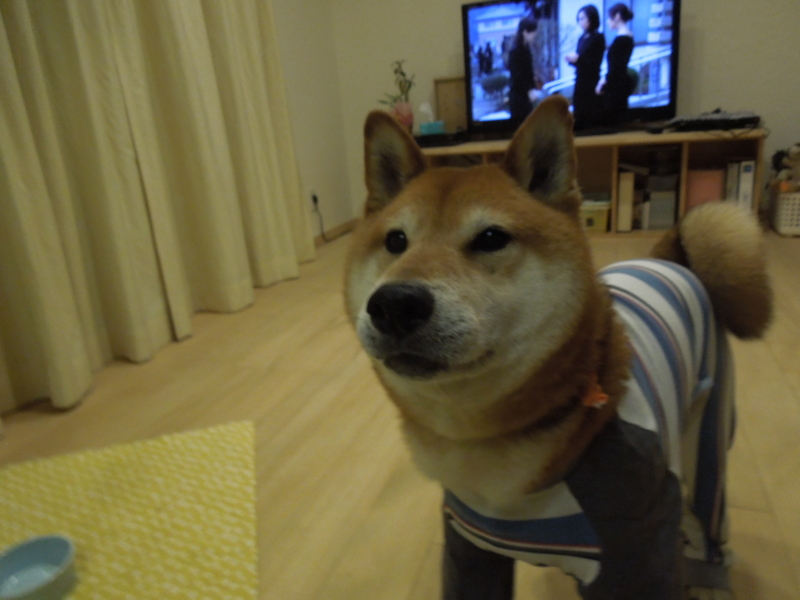 f:id:miyuki1967:20140606120444j:image:w450