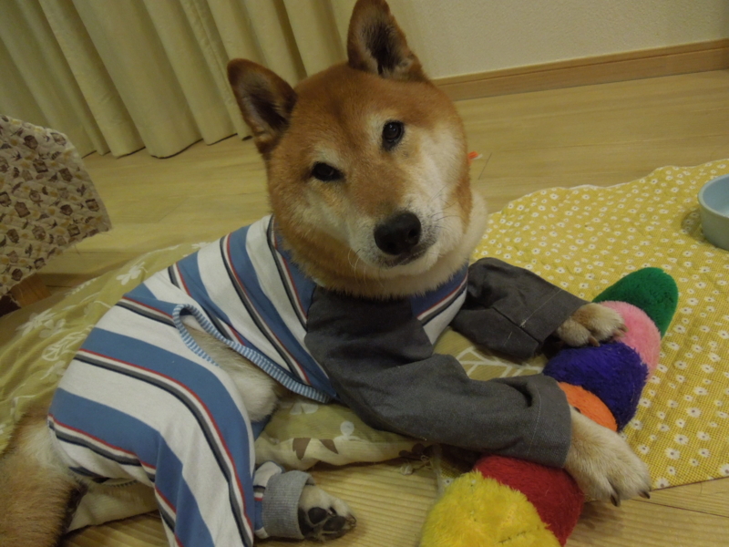 f:id:miyuki1967:20140606120530j:image:w450