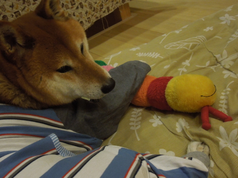 f:id:miyuki1967:20140606121555j:image:w450