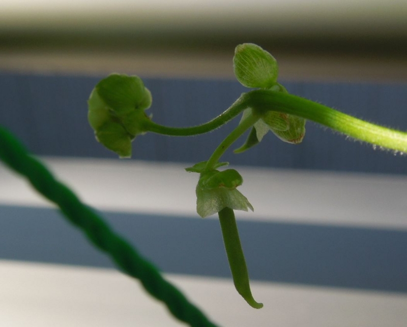 f:id:miyuki1967:20140613104923j:image:w450