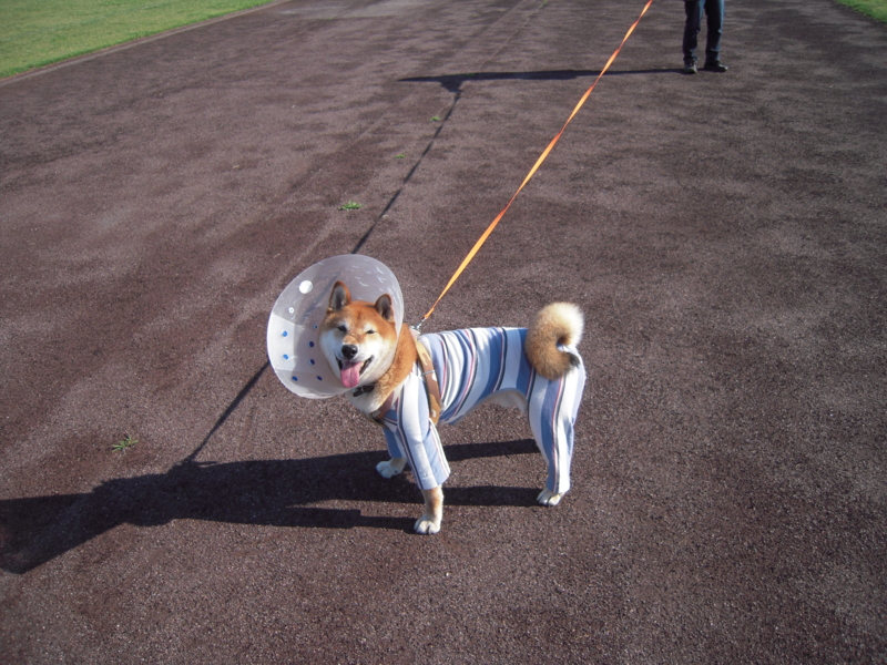 f:id:miyuki1967:20140617095128j:image:w450