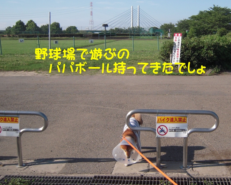 f:id:miyuki1967:20140617104201j:image:w450