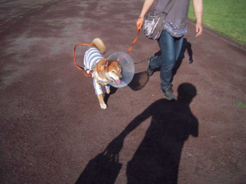 f:id:miyuki1967:20140617110908j:image:w450