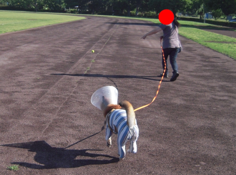 f:id:miyuki1967:20140617111709j:image:w450