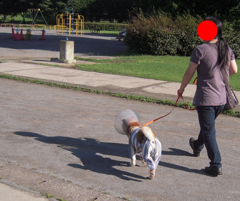 f:id:miyuki1967:20140617112712j:image:w450