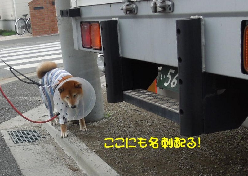 f:id:miyuki1967:20140625102609j:image:w450