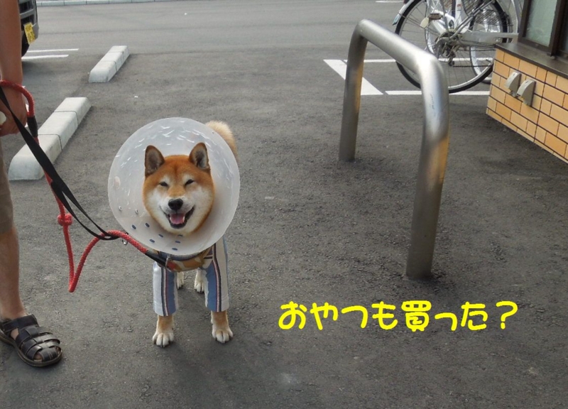 f:id:miyuki1967:20140625102645j:image:w450