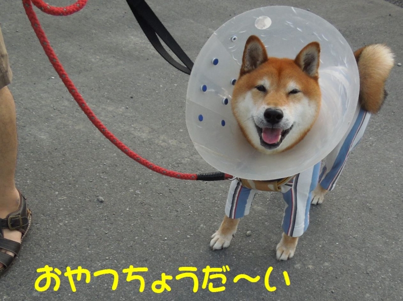 f:id:miyuki1967:20140625103115j:image:w450