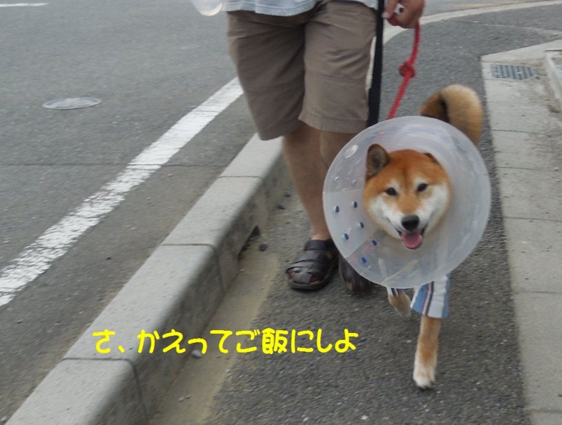 f:id:miyuki1967:20140625103541j:image:w450