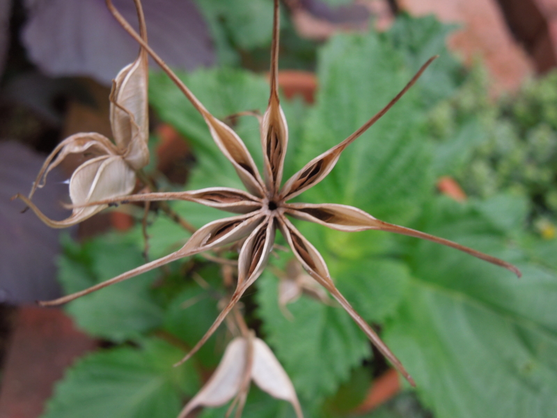 f:id:miyuki1967:20140625104430j:image:w450