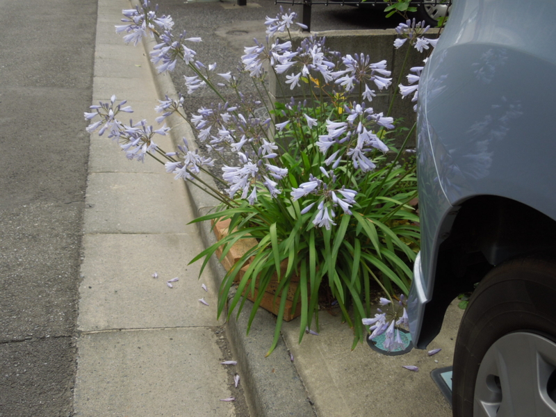 f:id:miyuki1967:20140625105524j:image:w450