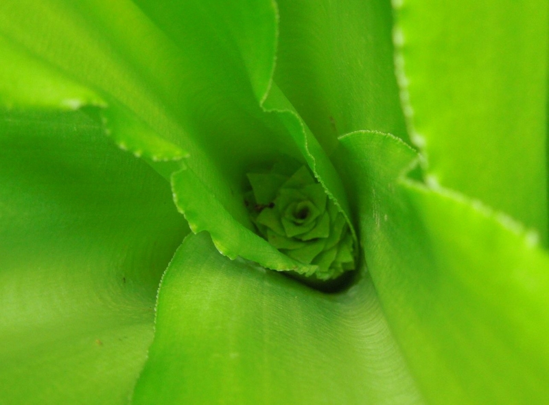 f:id:miyuki1967:20140627105619j:image:w450