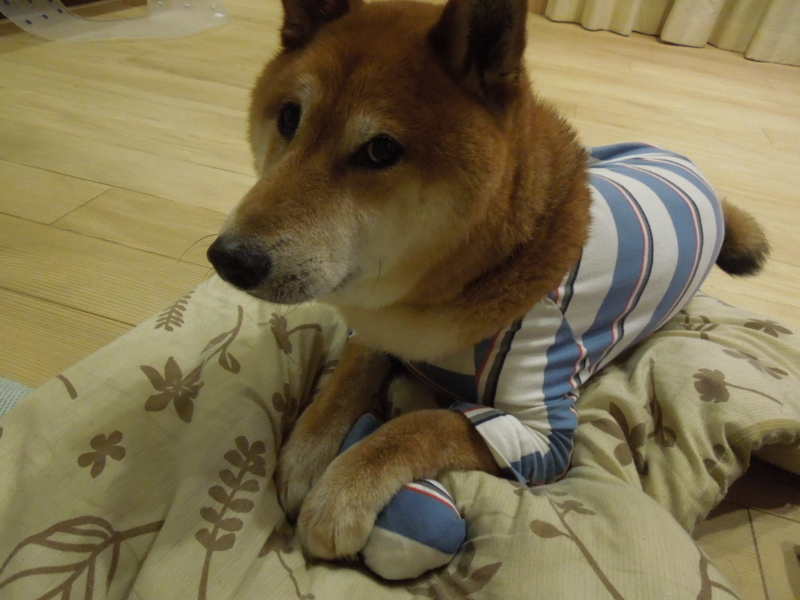 f:id:miyuki1967:20140627112256j:image:w450